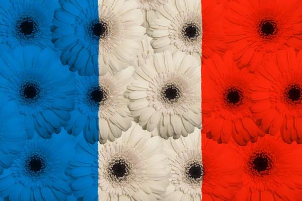 Nemzeti zászlaja stilizált virágokkal gerbera Franciaország — Stock Fotó