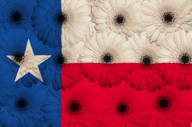 Amerikan Devlet Texas gerbera çiçek ile stilize bayrağı