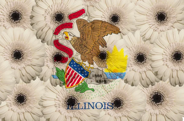 Gestileerde vlag van de Amerikaanse staat illinois met gerbera flo — Stockfoto