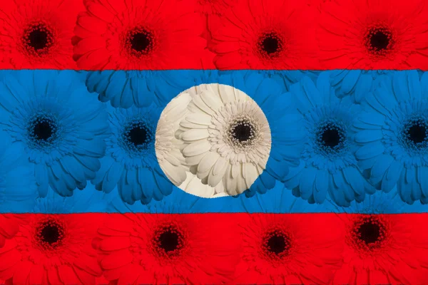 Bandera nacional estilizada de laos con flores de gerberas —  Fotos de Stock