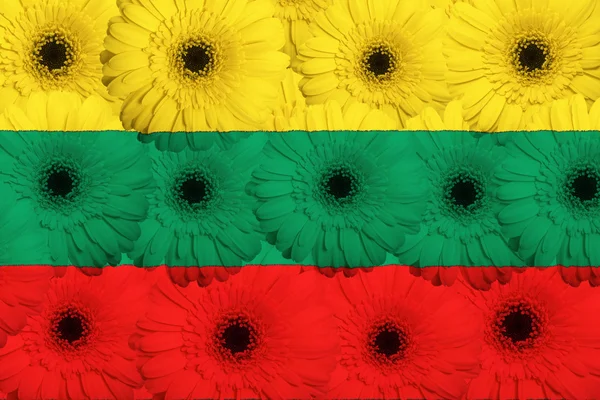 Stilizált nemzeti Litvánia zászlaja, gerbera virágok — Stock Fotó