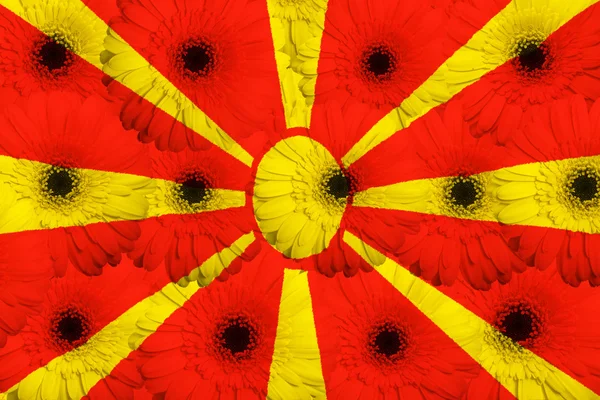 Bandera nacional estilizada de macedonia con flores de gerberas — Foto de Stock