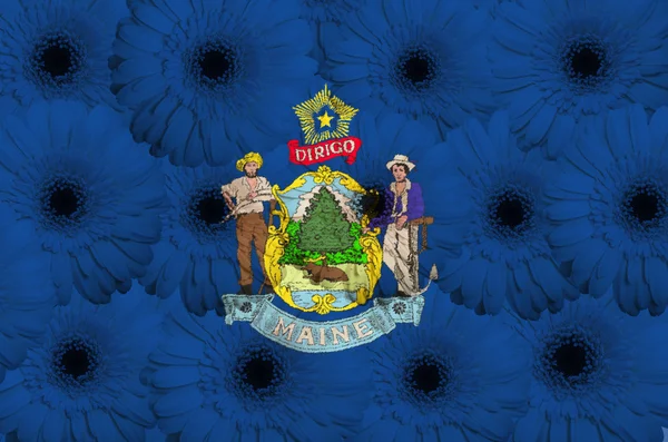 ガーベラの花を持つアメリカ メイン州の様式化された旗 — ストック写真