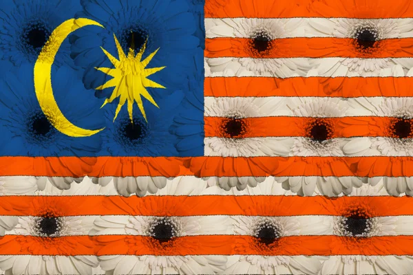 Bandiera nazionale stilizzata della Malesia con fiori di gerbera — Foto Stock