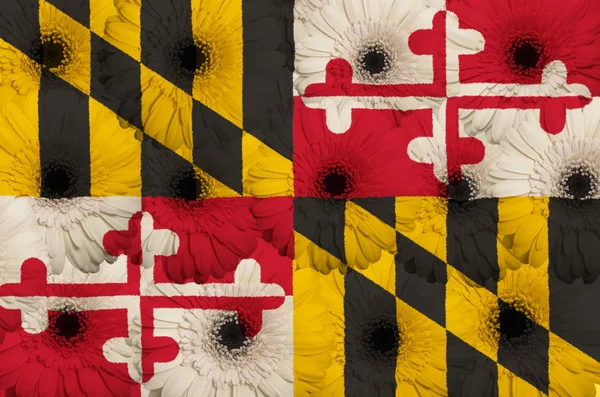 Bandiera stilizzata dello stato americano del Maryland con gerbera flo — Foto Stock