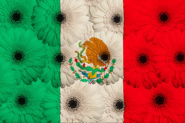 Stilisierte Nationalflagge Mexikos mit Gerbera-Blumen — Stockfoto