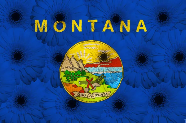 Stylized flag of american state of montana with gerbera flow — Stock Photo, Image