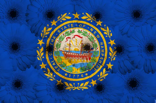 Bandeira estilizada do estado americano de novo hampshire com gerber — Fotografia de Stock