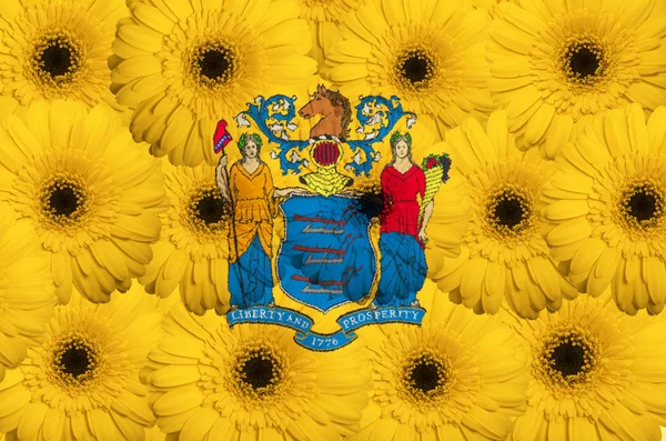 Stilisierte Flagge des amerikanischen Bundesstaates New Jersey mit Gerbera f — Stockfoto
