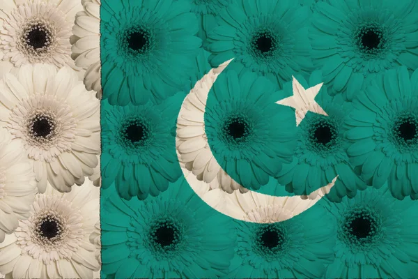 Stiliserade nationella flagga pakistan med gerbera blommor — Stockfoto