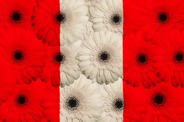 Stiliserade nationella flagga peru med gerbera blommor — Stockfoto