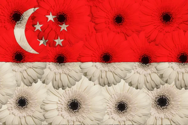 Στυλιζαρισμένη εθνική σημαία της Σιγκαπούρης με λουλούδια gerbera — Φωτογραφία Αρχείου