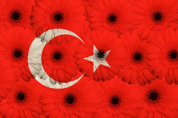 Gerbera çiçekleri ile Türkiye'nin stilize ulusal bayrak — Stok fotoğraf