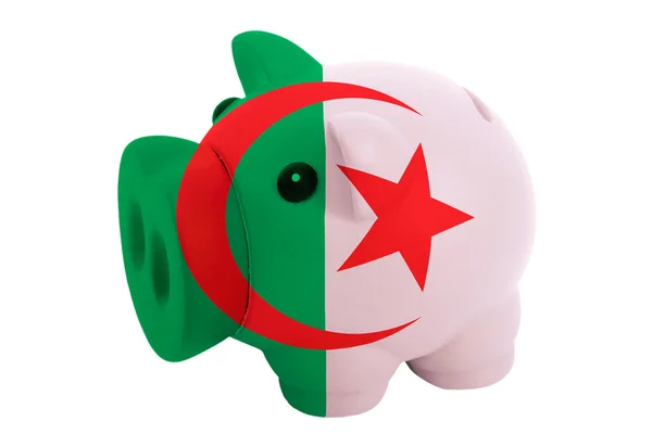Prasátko bohaté banka v barvách národních alžírská vlajka pro savin — Stock fotografie