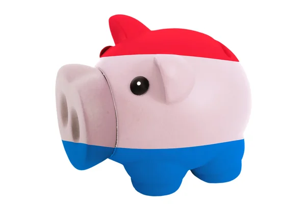 Piggy rijke bank in kleuren nationale vlag van holland voor savin — Stockfoto