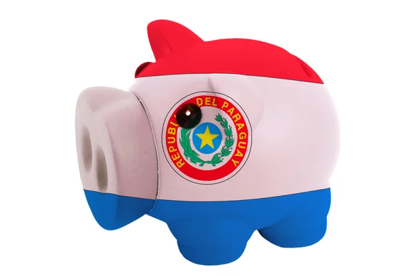 Prasátko bohaté banka v barvách národní vlajka Paraguaye pro savi — Stock fotografie