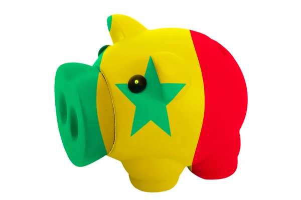 Prasátko bohaté banka v barvy státní vlajky Senegalu pro savin — Stock fotografie