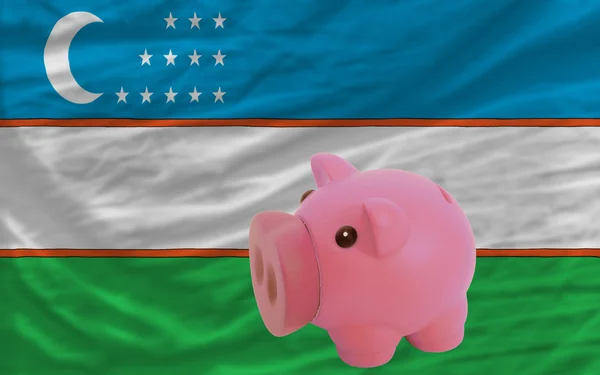 Prasátko bohaté banky a státní vlajka Uzbekistánu — Stock fotografie