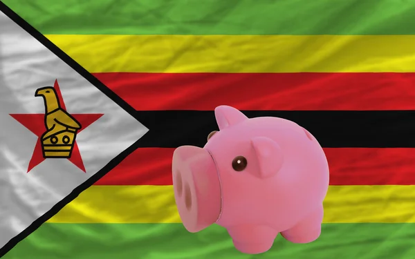 Porquinho rico banco e bandeira nacional de zimbabwe — Fotografia de Stock