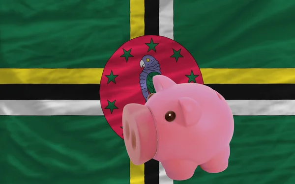 Piggy rich bank and national flag of dominica — Stock Photo, Image