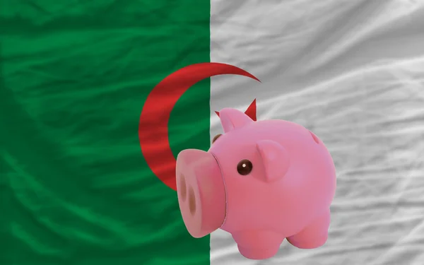 Prasátko bohaté banky a státní vlajka Alžírska — Stock fotografie