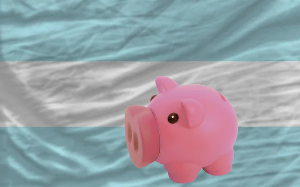 Zengin Piggy banka ve Arjantin bayrağı — Stok fotoğraf