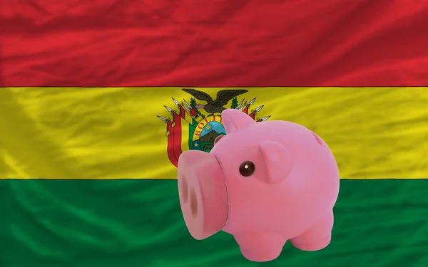 Piggy rijke bank en de nationale vlag van bolivia — Stockfoto