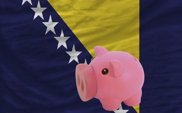 Piggy rich bank and national flag of bosnia herzegovina — Stock Photo, Image