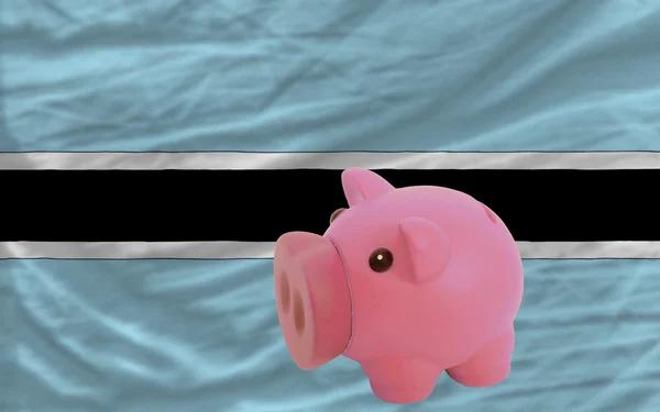Zengin Piggy banka ve Botsvana bayrağı — Stok fotoğraf