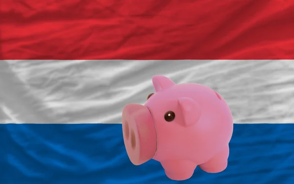 Piggy rijke bank en de nationale vlag van holland — Stockfoto