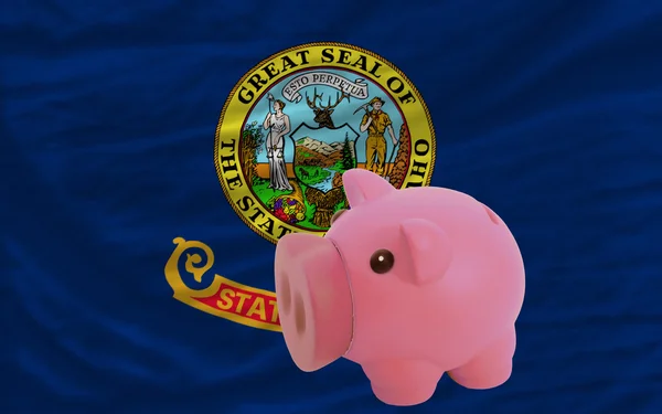 Piggy rich bank and flag of american state of idaho — Stock Photo, Image