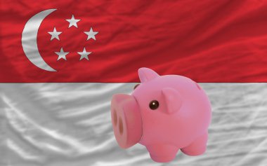 zengin Piggy banka ve Singapur ulusal bayrak