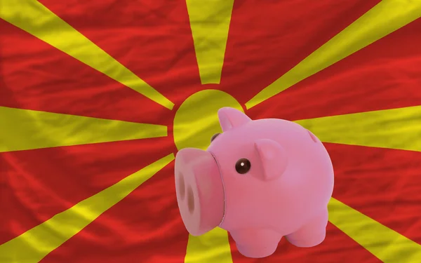 Piggy rijke bank en de nationale vlag van Macedonië — Stockfoto