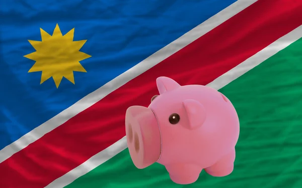 Piggy rijke bank en de nationale vlag van Namibië — Stockfoto