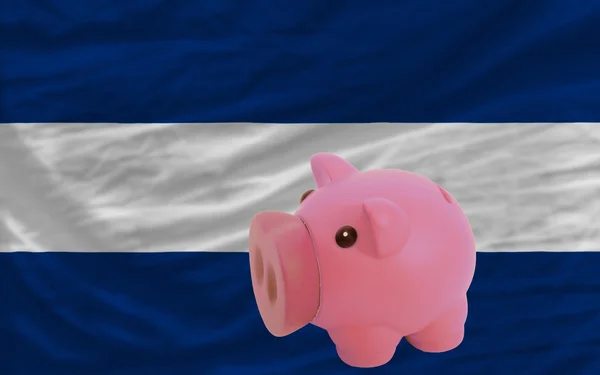 Piggy rich bank and national flag of nicaragua — Stock Photo, Image