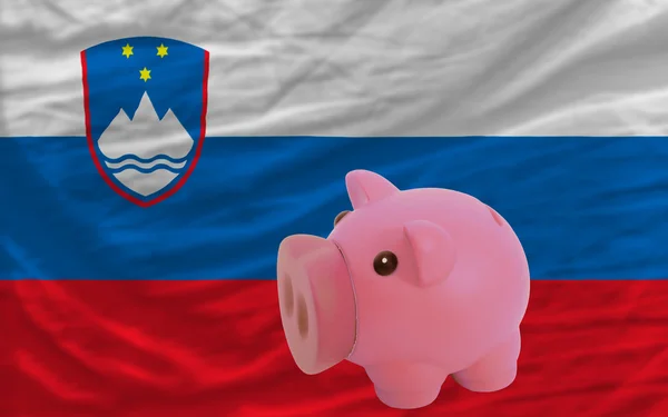 Prasátko bohaté banky a státní vlajka Slovinska — Stock fotografie
