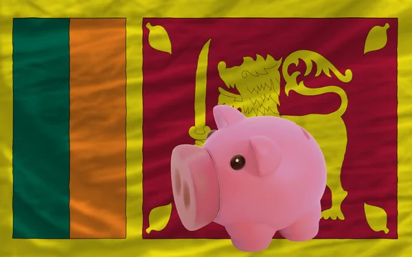 Piggy rich bank and national flag of srilanka — Stock Photo, Image