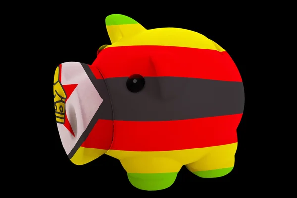 Piggy rich bank in colors national flag of zimbabwe for saving — Stock Photo, Image