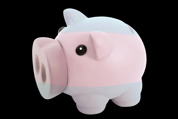 Piggy rich bank in colors national flag of argentina for savin — Stock Photo, Image