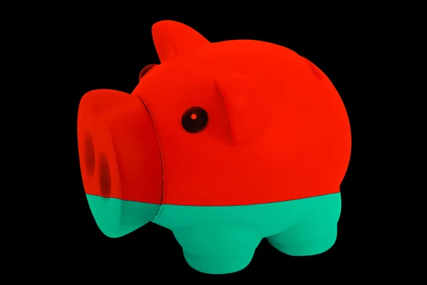 Piggy rich bank in colors national flag of belarus for saving — Stock Photo, Image