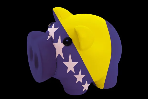 Sparschwein in den Farben der Nationalflagge von Bosnien-Herzegowina — Stockfoto