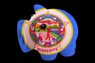 zengin bankada Piggy: minnesota eyaletinde Amerikan bayrağı renkleri
