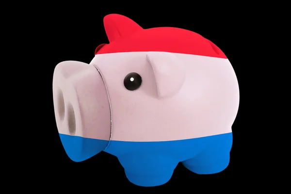 Piggy rich bank in colors national flag of holland for saving — Stock Photo, Image