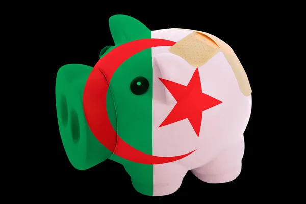 Upadłości piggy bank bogata w kolory flagi narodowej w Algierii — Zdjęcie stockowe