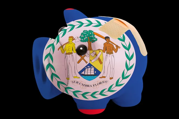 Banque riche cochon en faillite dans les couleurs du drapeau national du Belize — Photo