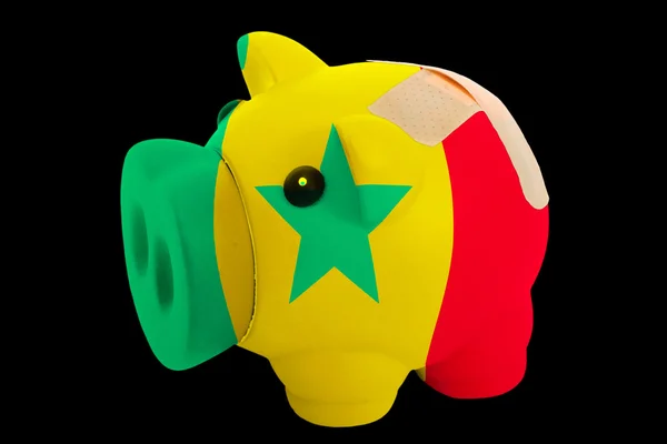 Senegal Milli bayrak renkleri iflas piggy zengin banka — Stok fotoğraf