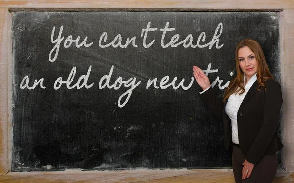 t-ebilmek öğretmek yaşlı bir köpek-e doğru yeni hileler blackbo gösterilen öğretmen