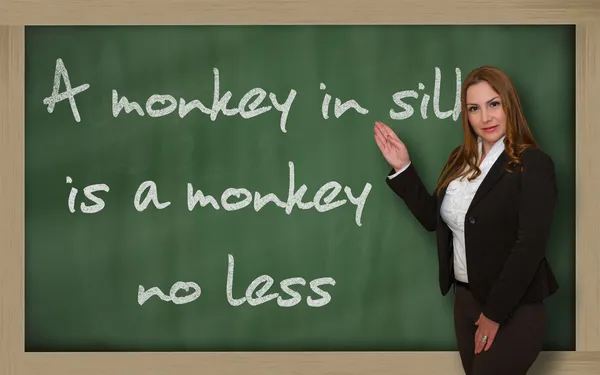 Učitel ukazuje opice v hedvábí je opice, nic méně na blackboa — Stock fotografie
