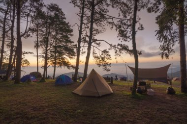 Dağ tepesinde kamp çadırları gezide mavi gökyüzünde ağaçlar, doğa manzarası, Tayland 'ın kuzeyi Chiang Mai. Ulusal park.