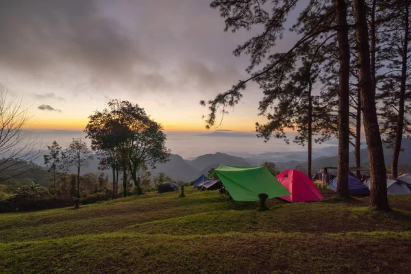 Camping Sátrak Területén Hegyi Dombon Fák Kék Utazás Természet Környezet — Stock Fotó
